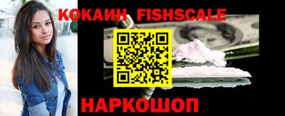 гидра Гатчина