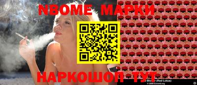 гидра Гатчина