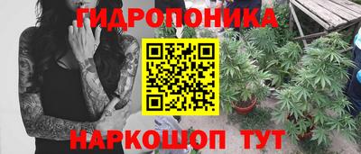 гидра Гатчина