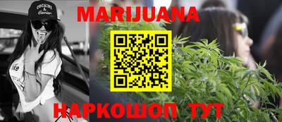 гидра Гатчина