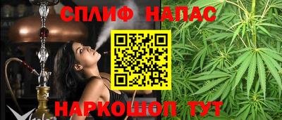 гидра Гатчина