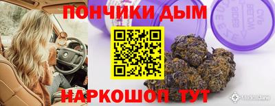 гидра Гатчина