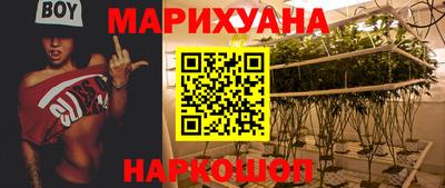 гидра Гатчина
